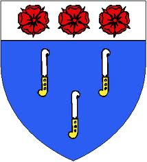 Blason-Bosquillon-de-genlis